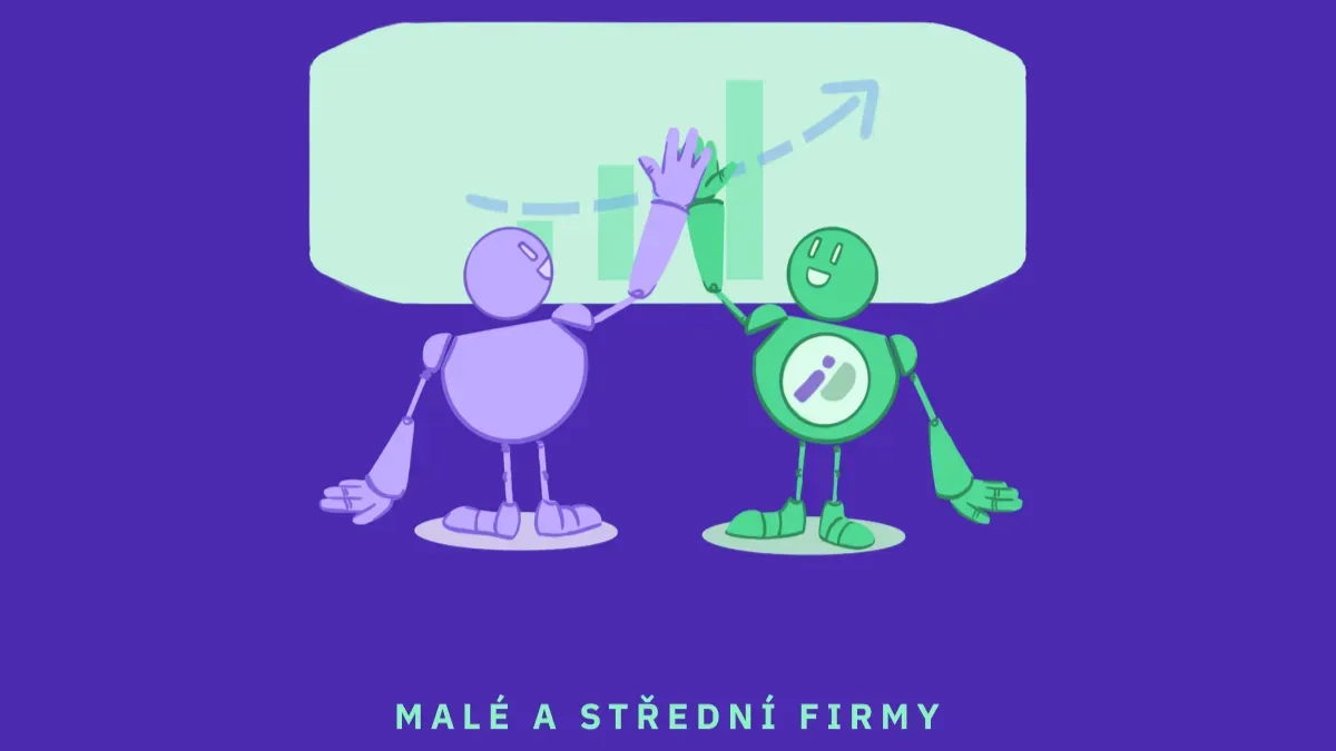 Intedat: Řešení pro malé a střední firmy