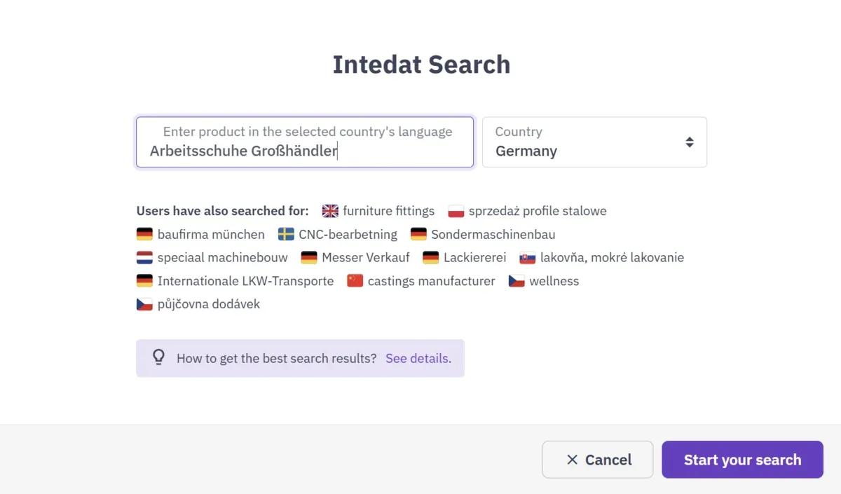 Suchformular von Intedat Search mit dem eingegebenen Stichwort „Arbeitsschuhe Großhändler“ und dem ausgewählten Land Deutschland