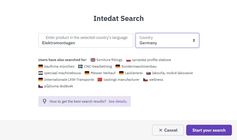Suchformular von Intedat Search mit dem eingegebenen Stichwort „Elektromontagen“ und dem ausgewählten Land Deutschland