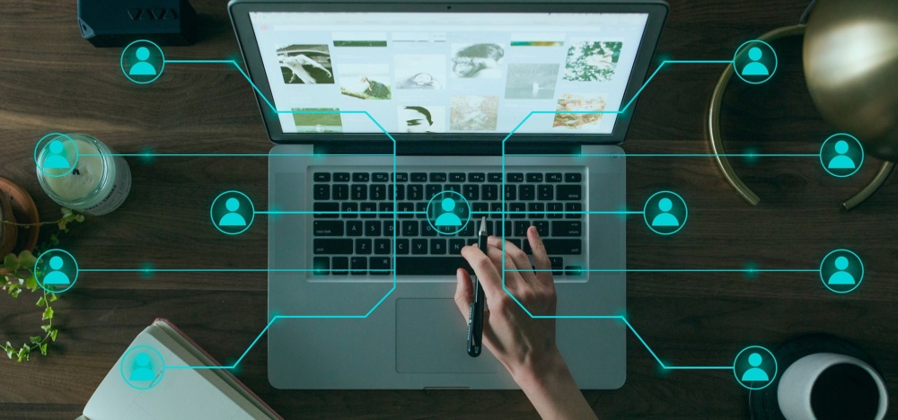 Where to Get Company Emails and Direct Manager Contacts