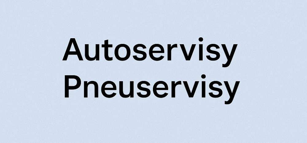 Autoservisy a pneuservisy – vhodné firmy vďaka Intedat Search